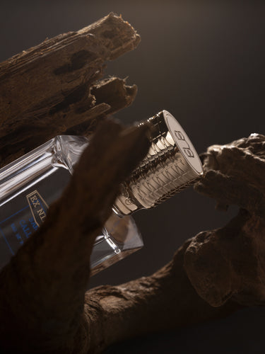 Santal Calling by Ex Nihilo