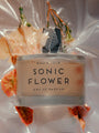 Sonic Flower by Room 1015