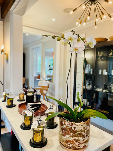 Abd El Kader Intermezzo Candle (Morroccan Mint) - MONC XIII