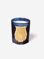 Cire Trudon Reggio (Mandarin) Scented Candle Les Belles Matieres by Cire Trudon Home Accessories New Candles and Home Fragrance